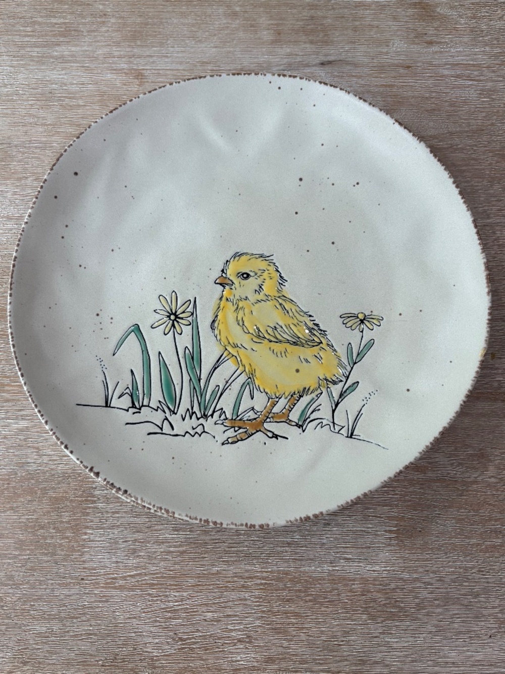 InHomestylez Spectrum Chickadee Spring Dinner Plates - Set of 4 NWOT